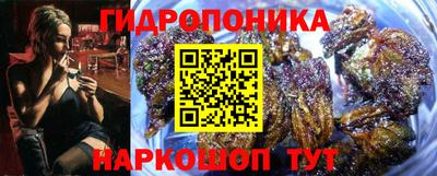 трава Бийск